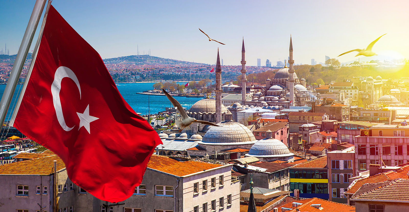 Resumption of Visa Processing in Turkey